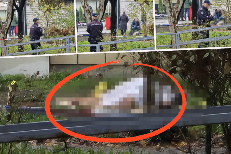 Novi Beograd mesto ubistva Tadije Pantića