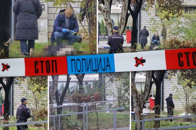 Novi Beograd mesto ubistva Tadije Pantića