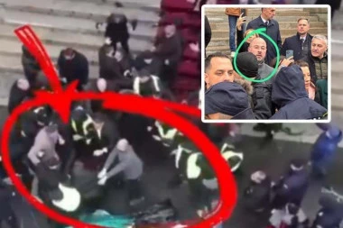 OVO JE POSLANIK KOJI JE UDARIO ŽENU ISPRED SKUPŠTINE! Jezivo nasilje Aleksandra Radovanovića iz PSG