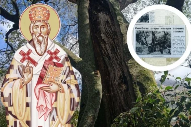 TAJNA DRVETA ISPOD KOGA SE RODIO SVETI VASILIJE: Posetili smo rodni kraj Ostroškog Čudotvorca, evo šta smo otkrili (FOTO, VIDEO)