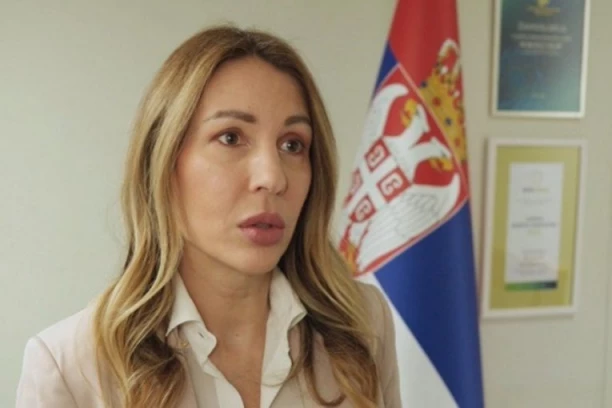 Đedović Handanović: Srbija je lider u reformama u okviru Energetske zajednice