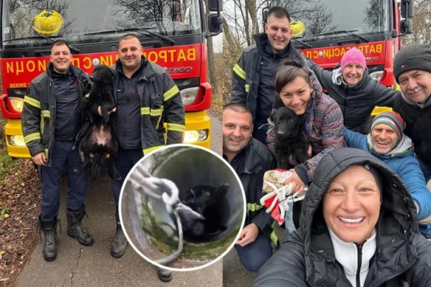 "KOLIKO VREDI JEDAN ŽIVOT?" Pas satima zavijao iz 30 metara dubine, a heroji se spustili u mrak - Beograđanka opisala akciju: LAKO JE PRIČATI O DOBROTI, DOK SEDIŠ U TOPLOM! (FOTO, VIDEO)