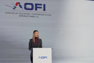 SRBIJA STOJI ČVRSTO NA ZEMLJI! Mesarovićeva poručila: Imamo stabilne javne finansije i rekordan priliv investicija