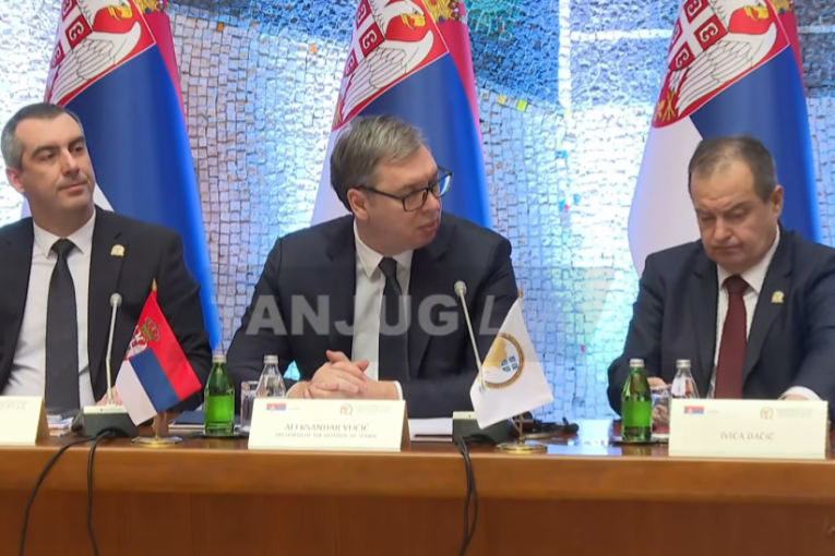 Konferencija "Srbija-Afrika: Dostajanstvo 2025"