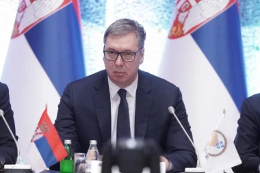 "U AFRICI VIDIMO BRATSKE NARODE": Vučić: Ako se mreža pauka udruži, može da uhvati lava!