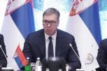 "U AFRICI VIDIMO BRATSKE NARODE": Vučić: Ako se mreža pauka udruži, može da uhvati lava!