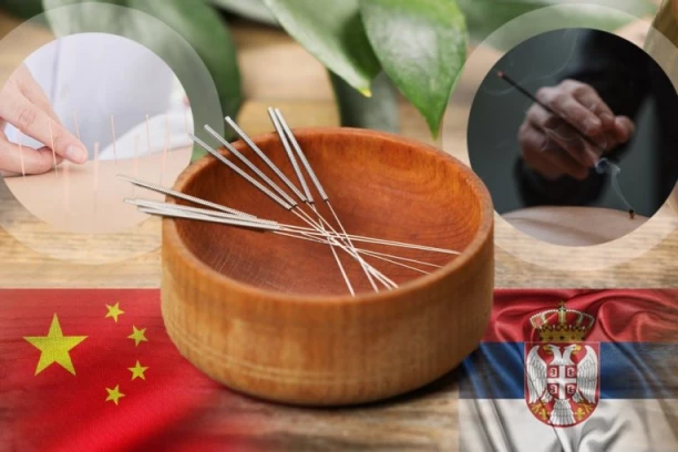 Beograd domaćin prestižnog međunarodnog seminara o tradicionalnoj kineskoj medicini