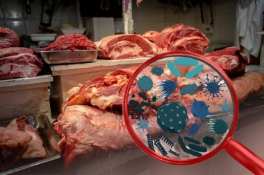 OVO MESO JE NAJOPASNIJE U SRBIJI: Jedete ga svaki dan - ovo je moguća bakterijska bomba!