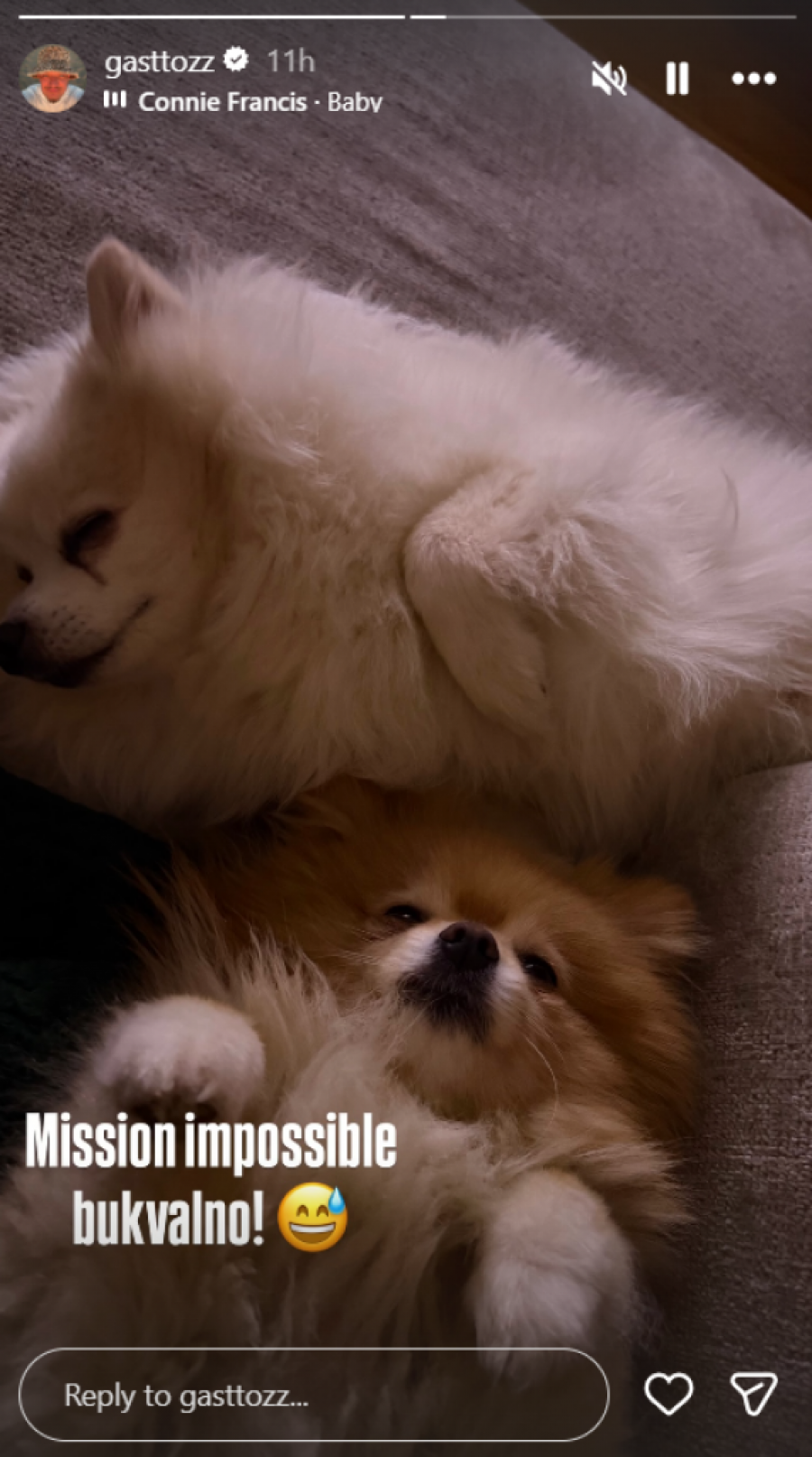 ŠOK-BOMBA, ANĐELA PONOVO PROGUTALA SVA GASTOZOVA PONIŽENJA?! Osvanula fotografija direktno iz stana, evo šta se desilo nakon drame!