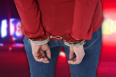 NARODNA POSLANICA NA ČELU KRIMINALNE GRUPE! Ani sada preti čak 10 godina robije!