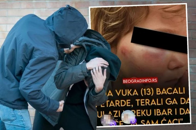 VUK JE HTEO DA SE DRUŽI S NJIMA, A ONI GA POVREDILI! Teror blokadera-tinejdžera šokirao je naciju!