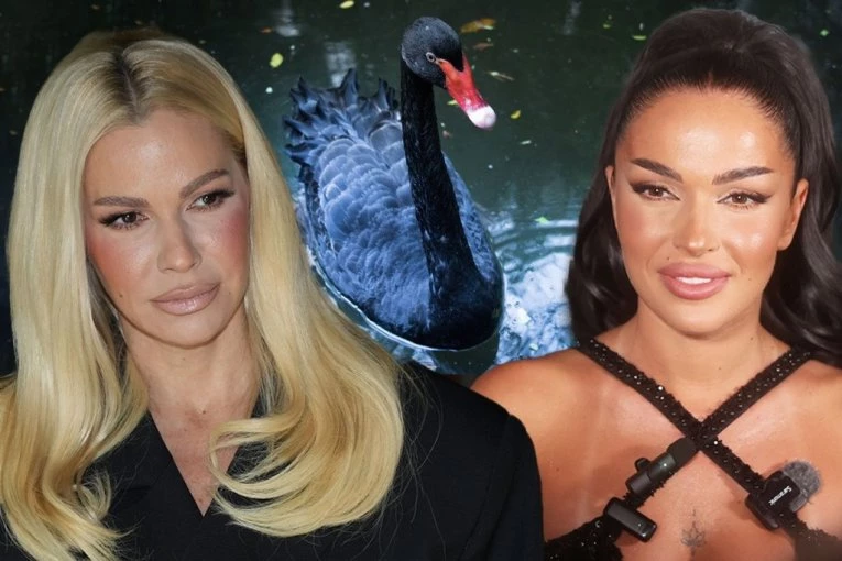 PRVA IZJAVA TEODORE DŽEHVEROVIĆ O PESMI "CRNI LABUDE": Kako je pesma završila kod Nataše Bekvalac?! Otkrivena KOMPLETNA ISTINA! (VIDEO)