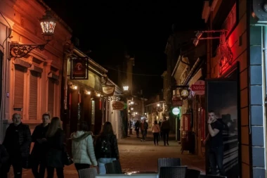 SNIMLJENA DIVLJA ŽIVOTINJA NA ULICAMA NOVOG SADA! Prenose mnoge viruse, a stručnjaci tvrde da ne napadaju "POD USLOVOM DA SU ZDRAVE" (VIDEO)