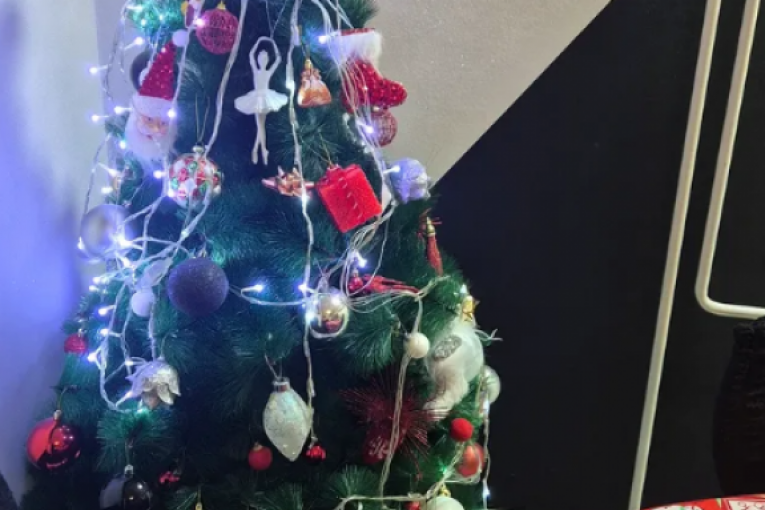 Dekoracija u domu Kulića