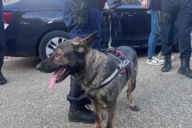 Uprava policije Crne Gore