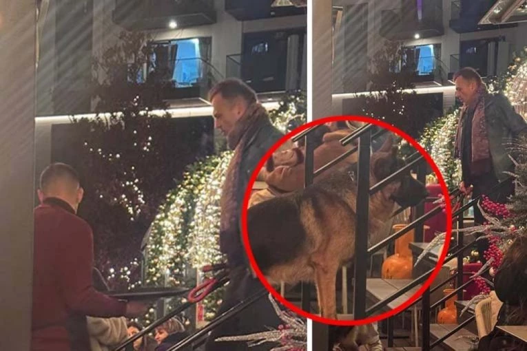 SKANDAL U ZIMSKOJ BAJCI! Sergej Trifunović šeta nemačkog ovčara bez korpe među decom (FOTO)