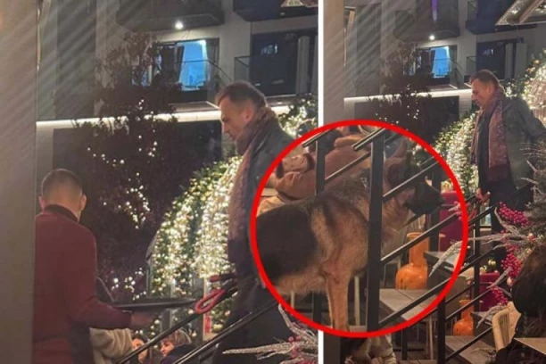 SKANDAL U ZIMSKOJ BAJCI! Sergej Trifunović šeta nemačkog ovčara bez korpe među decom (FOTO)