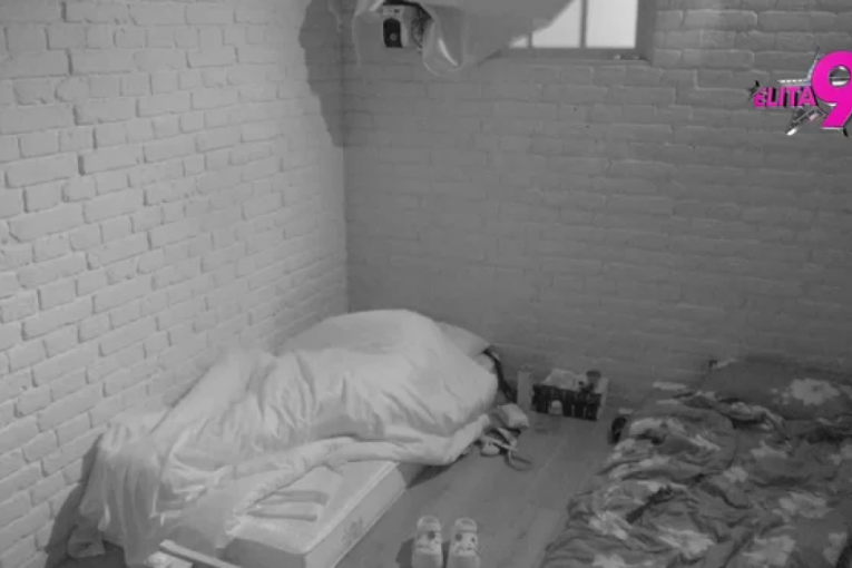 Vrela akcija Sofije i Terza