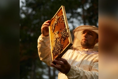 Štednja, zlato ili nekretnine: Kako da vam novac zarađuje, a da je uvek dostupan