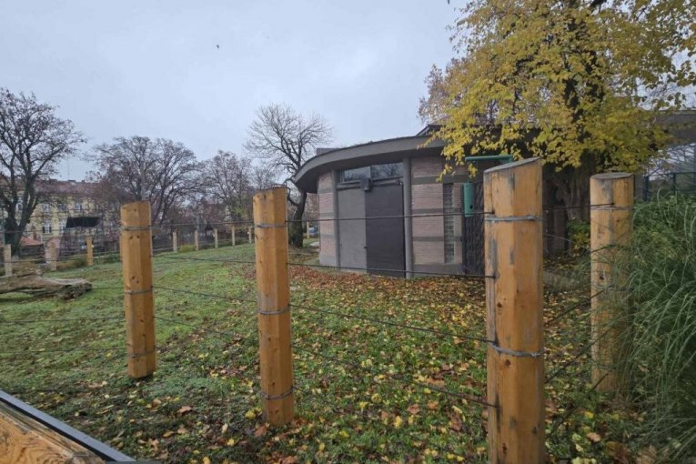 Renoviran prostor za slonove