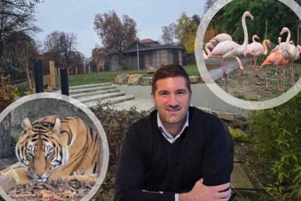 BEOGRADSKI ZOOLOŠKI VRT PRED VELIKIM JUBILEJEM! Direktor beogradskog Zoološkog vrta otkriva: Godina slonice maje, belih medveda i najvećih investicija do sada! (VIDEO)