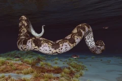 ŠOKANTNO OTKRIĆE! Pronađena zmija teža od "Juga" i dugačka kao gradski autobus (FOTO, VIDEO)