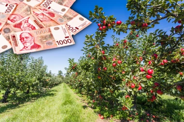 MILION EVRA ZA JEDNO GAZDINSTVO! Država deli neverovatnih 1.1 MILIJARDU DINARA: Rok samo DVE NEDELJE, evo kako da dobijete novac za voćnjake!