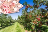 MILION EVRA ZA JEDNO GAZDINSTVO! Država deli neverovatnih 1.1 MILIJARDU DINARA: Rok samo DVE NEDELJE, evo kako da dobijete novac za voćnjake!
