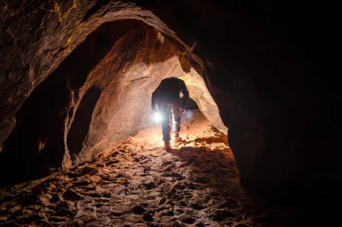 VELIKA POTERA U ŠUMI! Policija, vojska i psi tragači JURE MIGRANTE: Privedeno više od 130 osoba, otkrili ŠOKANTAN NAČIN PROLASKA GRANICE!