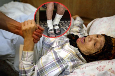 VRATILA SE GUBA U EVROPU! Jeziva bolest pred vratima Srbije!