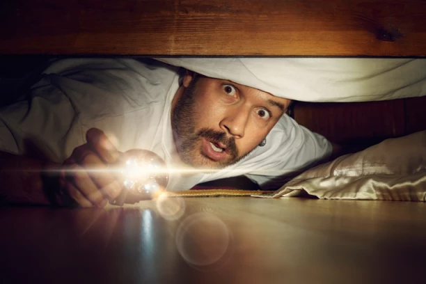 ŠOK I NEVERICA U SRBIJI! JEZIVO STVORENJE IZGMIZALO IZA KREVETA: Ogromni INSEKT liči na pauka i smrdibubu, evo šta je MONSTRUM! (FOTO)