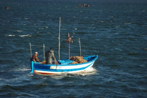ŠOK U JADRANSKOM MORU! Ribari van sebe kad su videli STVORENJE KOJE JE IZAŠLO IZ VODE: Sija kao srebro, izgleda kao KAIŠ! Evo šta je USLEDILO (VIDEO)