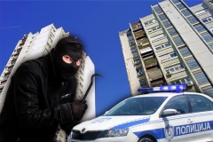 KRENUO U PLJAČKU, PA JEDVA IZVUKAO ŽIVU GLAVU! Policija razvalila kapiju da spasi lopova koji je krvario!