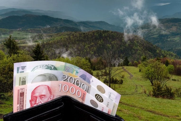 Mala investicija, velika dobit: Ova biljka donosi i do 600€ godišnje – raste i na balkonu