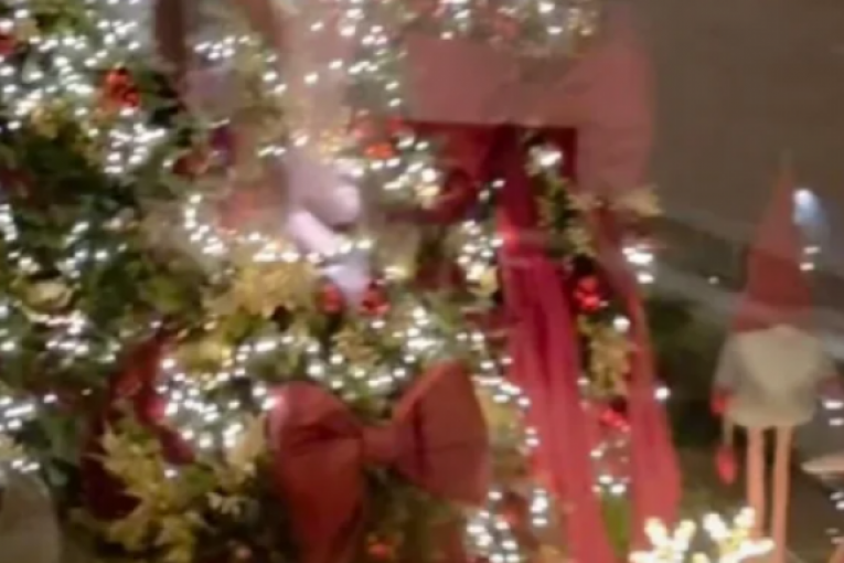 Sloba Radanović Instagram