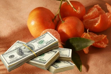 SRBI JE BACAJU U SMEĆE, A KINEZI JE PLAĆAJU SUVIM ZLATOM! Ova biljka u Kini košta 300 dolara po kilogramu!