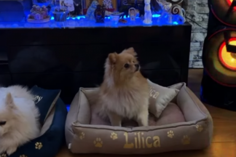 Anđela Đuričić i Nenad Marinković Gastoz