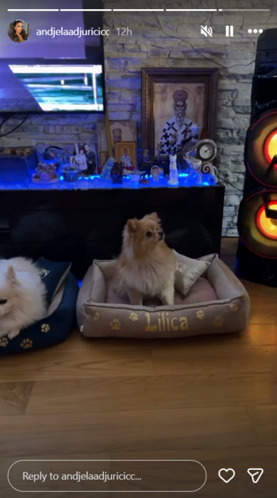 ŠOK-POTEZ ANĐELE ĐURIČIĆ NAKON ŠTO JE NJEN SNIMAK PROCURIO U JAVNOST: Crnogorka uzburkala javnost novom objavom, čeka se Gastozova reakcija!