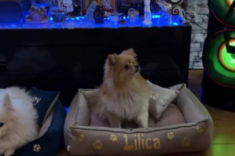 Anđela Đuričić i Nenad Marinković Gastoz