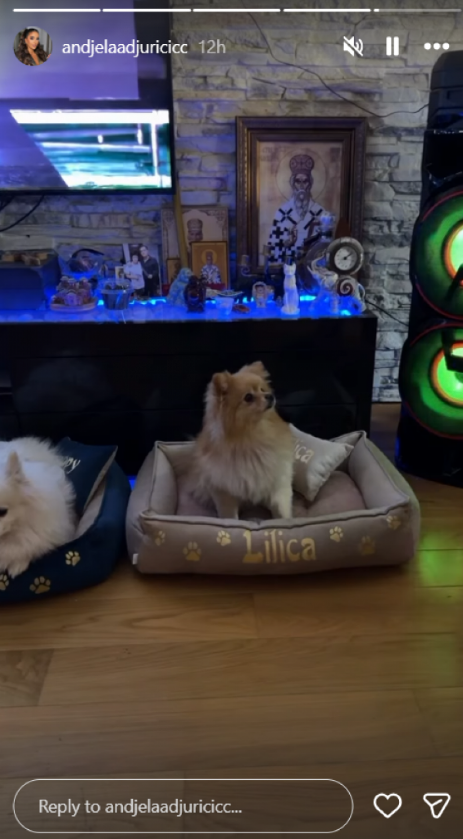 ŠOK-POTEZ ANĐELE ĐURIČIĆ NAKON ŠTO JE NJEN SNIMAK PROCURIO U JAVNOST: Crnogorka uzburkala javnost novom objavom, čeka se Gastozova reakcija!