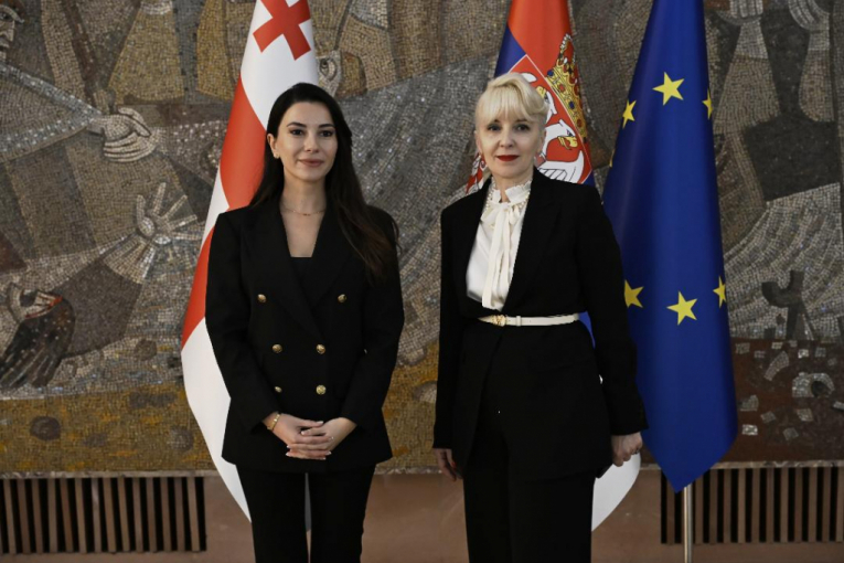 Zasedanje Mešovite komisije za trgovinsko-ekonomsku saradnju Srbije i Gruzije