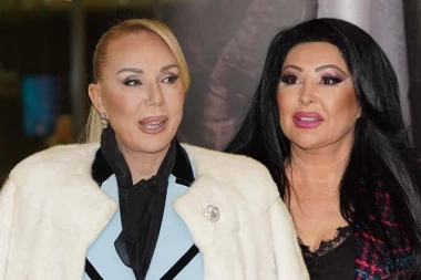 LEPA BRENA IZNENADA POSETILA DRAGANU MIRKOVIĆ, OSVANULA FOTOGRAFIJA SA LICA MESTA: Evo šta se dešavalo u dvorcu, tu su bila i deca!