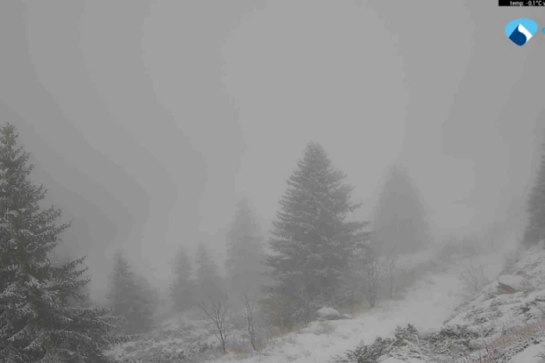 U JEDNOM DELU SRBIJE VEĆ VEJE! Zabelelo se, a tek nam slede padavine! (FOTO)