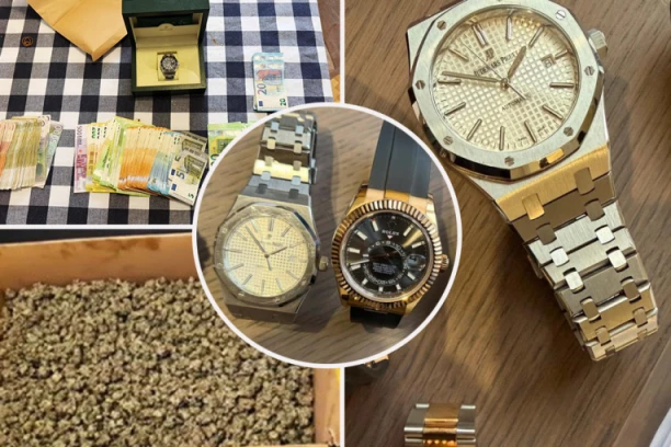 PALA VELIKA KRIMINALNA GRUPA: Zaplenjene su tri laboratorije marihuane, veća količina novca, skupoceni satovi i automobili