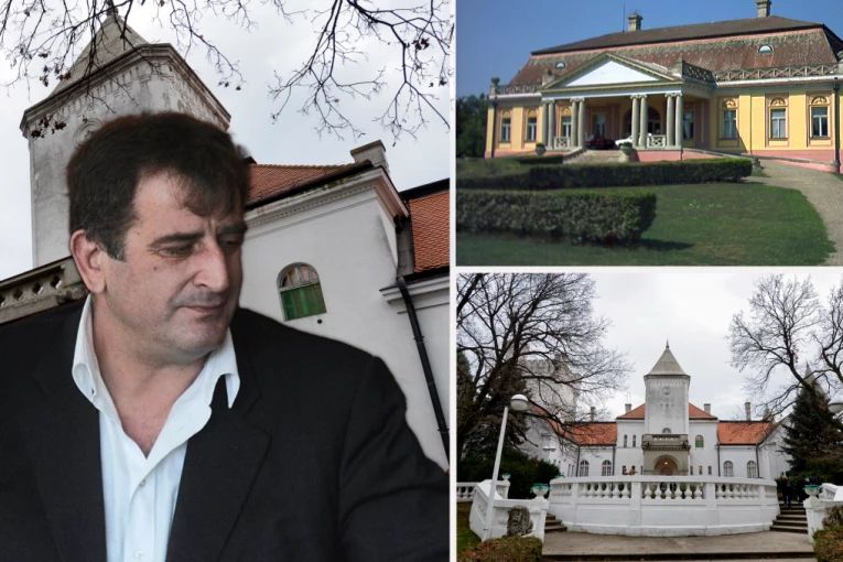 LJUBIŠA BUHA ČUME OD DVORCA DUNĐERSKOG PRAVI ETNO SELO! Kupio kulturno dobro za male pare, krije se iza dece, a sada planira nešto još gore!