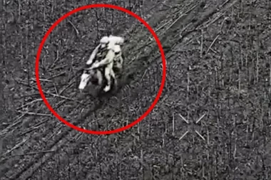 RATNI OBRT KAKAV SVET NIJE VIDEO! Rusi jurišaju na konjima u 21. veku! Pogledajte trenutak kada DRON udara direktno u KONJANIKA! (UZNEMIRUJUĆI VIDEO)