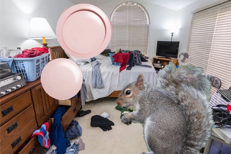 RADIOAKTIVNI TANJIRI I VEVERICE U PINK SOBAMA! Šokantna ispovest stanodavaca u Srbiji o stanarima iz pakla koji su im UNIŠTILI ŽIVCE I NEKRETNINE!