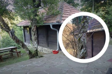 BOŽJE ČUDO U PORTI CRKVE CARA LAZARA: Za šljive koje same “plešu” nauka nema objašnjenje, ali vernici imaju (FOTO)