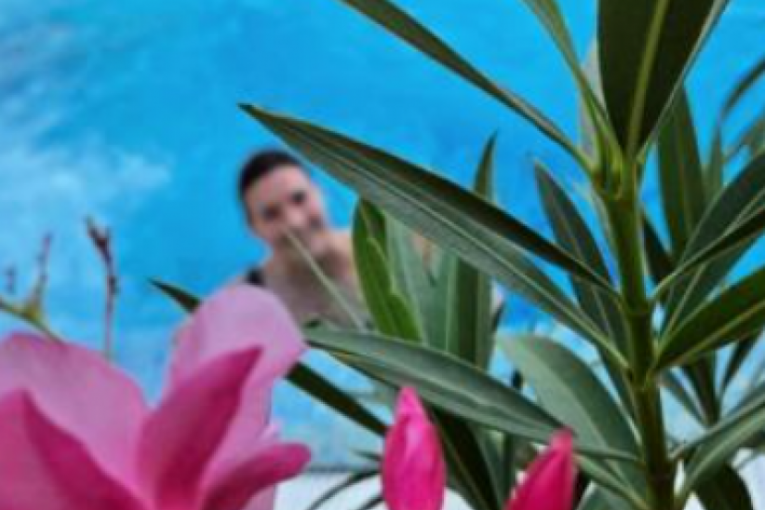 Milica Milša Instagram