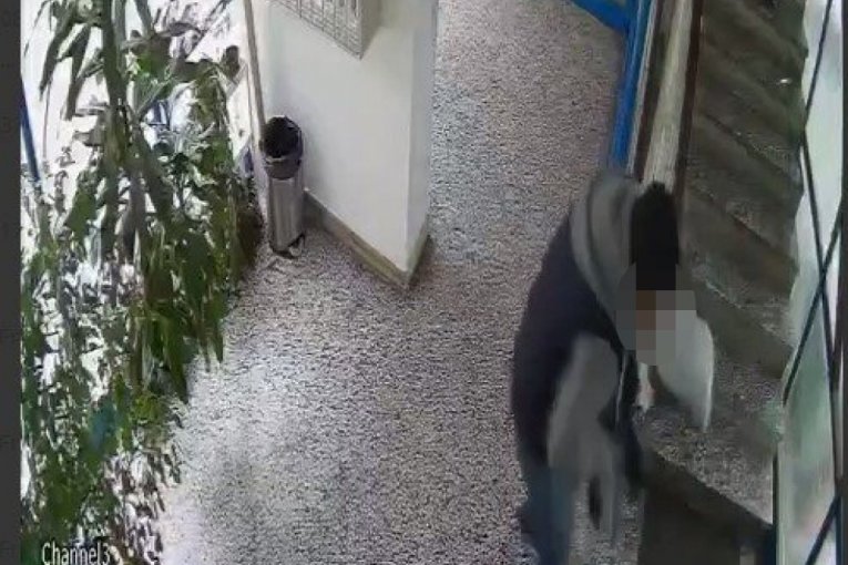 Republika/Printscreen